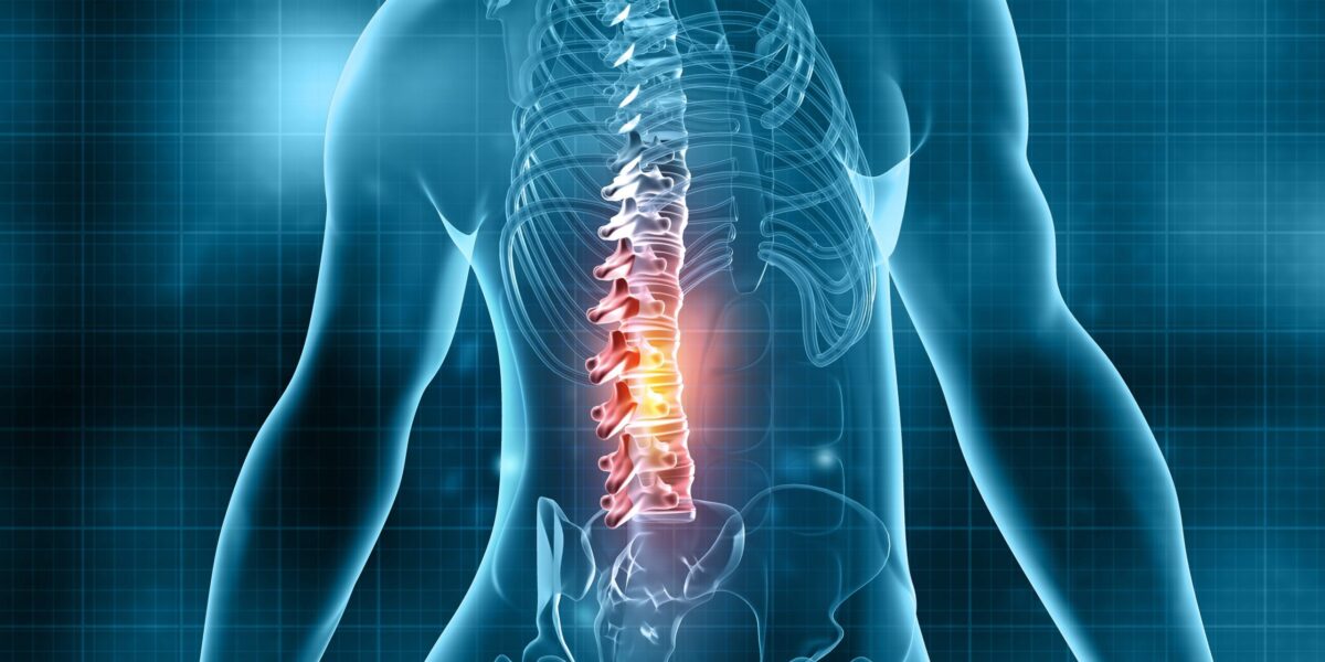Human spine pain. 3d illustration